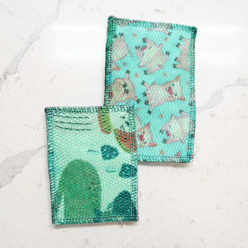Washable Reusable Sponges